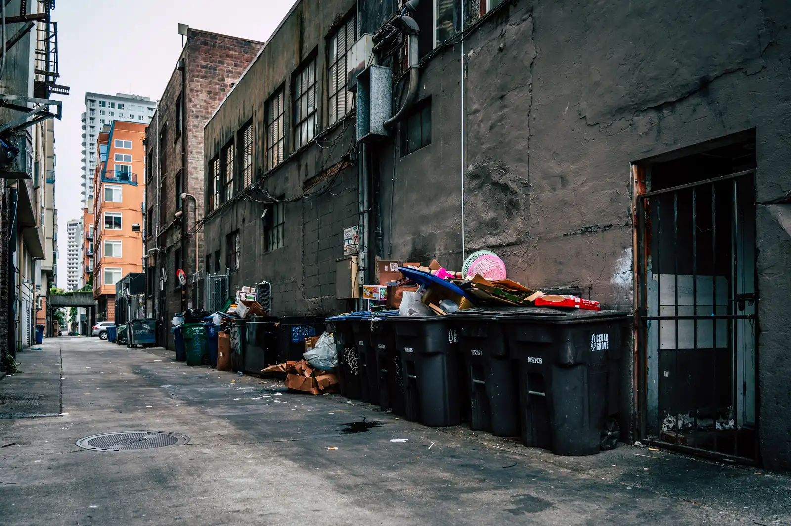 Wheelie bins and cardboard in a city alley