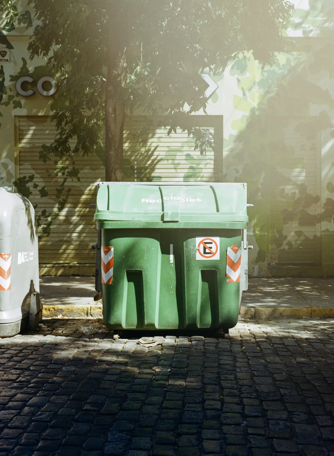 Yard Waste and Leaf Disposal Options for a Fall Cleanup