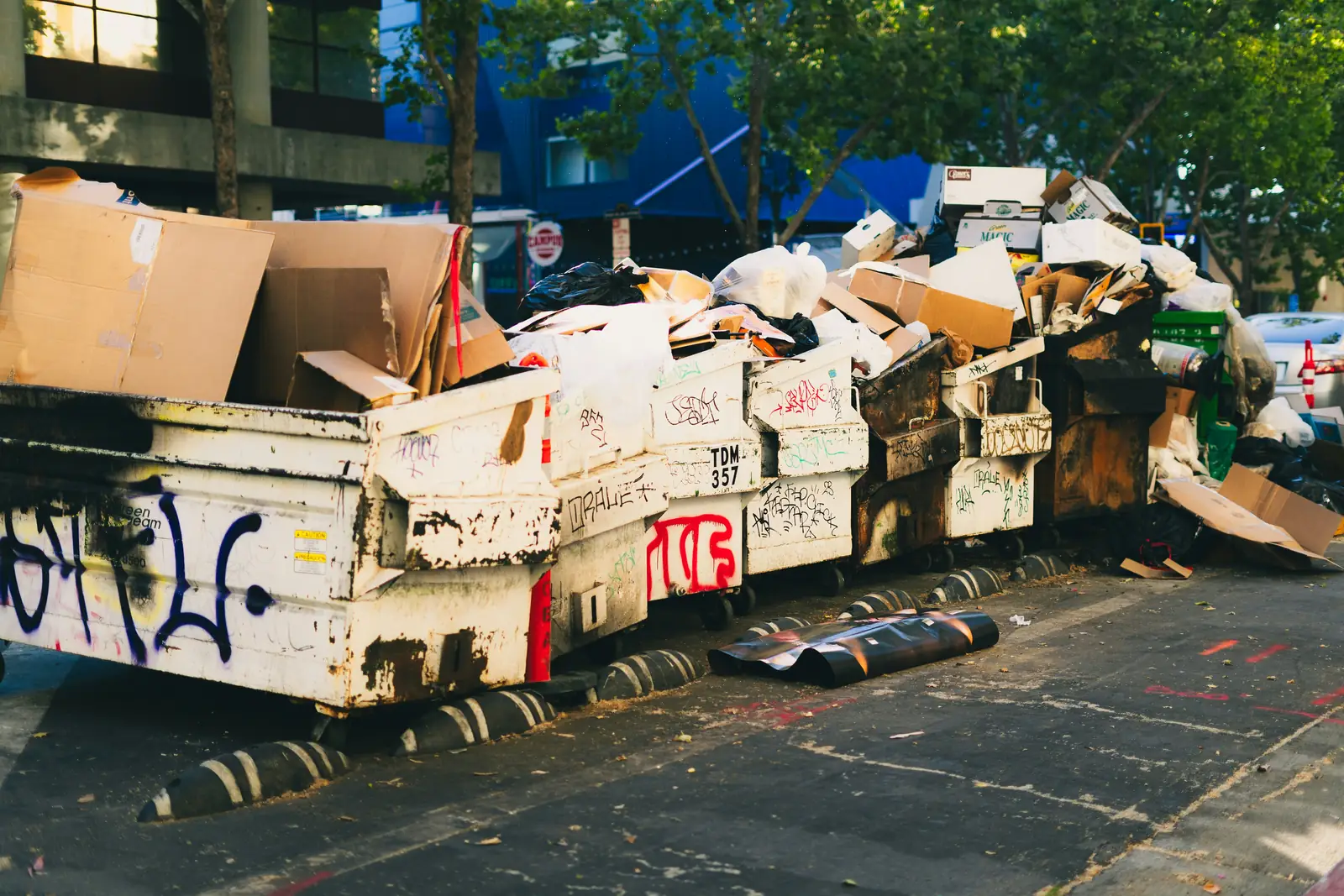 Street Placement Permits for Residential Bins in Windsor