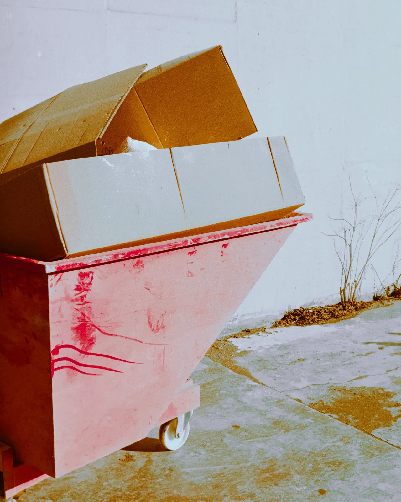 Spring Cleanout Guide for Windsor Homeowners